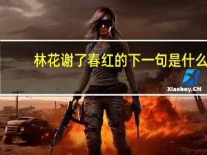 林花谢了春红的下一句是什么