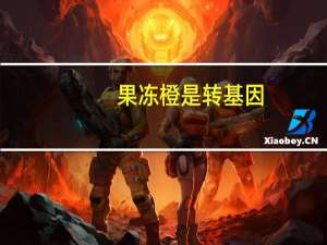 果冻橙是转基因（果冻橙是转基因吗）