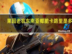 果园老农 东南亚椰脆卡路里是多少