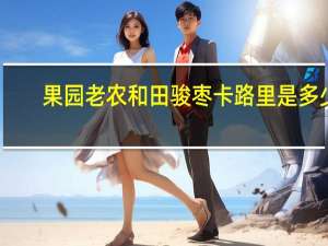 果园老农 和田骏枣卡路里是多少