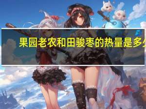 果园老农 和田骏枣的热量是多少