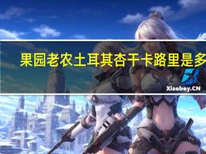 果园老农土耳其杏干卡路里是多少