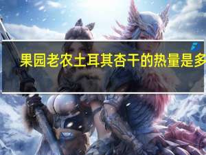 果园老农土耳其杏干的热量是多少