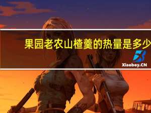 果园老农山楂羹的热量是多少