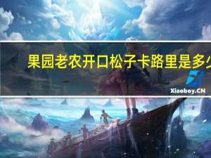 果园老农 开口松子卡路里是多少