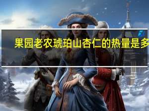 果园老农 琥珀山杏仁的热量是多少