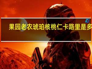 果园老农 琥珀核桃仁卡路里是多少