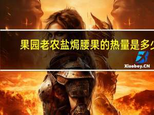 果园老农 盐焗腰果的热量是多少