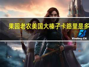 果园老农 美国大榛子卡路里是多少