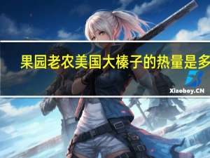 果园老农 美国大榛子的热量是多少