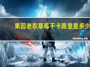 果园老农 草莓干卡路里是多少