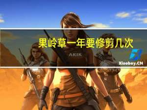 果岭草一年要修剪几次