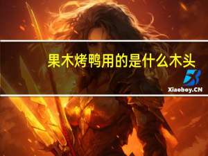 果木烤鸭用的是什么木头