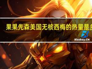 果果先森 美国无核西梅的热量是多少