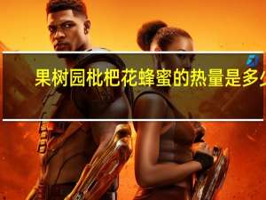 果树园 枇杷花蜂蜜的热量是多少