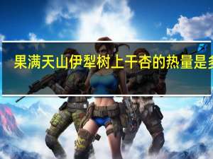 果满天山 伊犁树上干杏的热量是多少