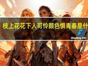 枝上花花下人可怜颜色惧青春是什么歌