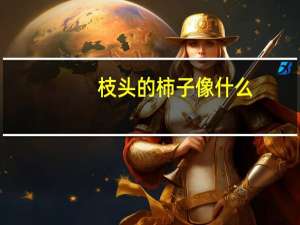 枝头的柿子像什么