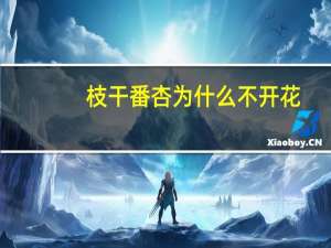 枝干番杏为什么不开花