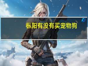 枞阳有没有买宠物狗