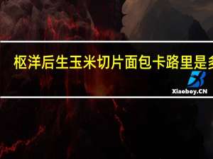 枢洋后生 玉米切片面包卡路里是多少