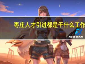 枣庄人才引进都是干什么工作