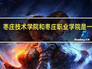 枣庄技术学院和枣庄职业学院是一家吗