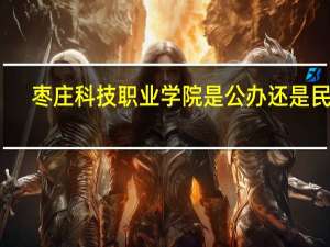 枣庄科技职业学院是公办还是民办