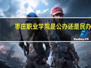 枣庄职业学院是公办还是民办