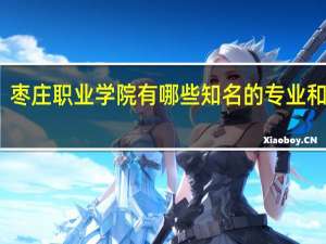 枣庄职业学院有哪些知名的专业和学科