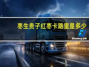 枣生贵子 红枣卡路里是多少