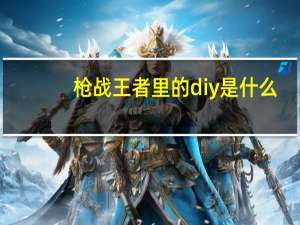 枪战王者里的diy是什么