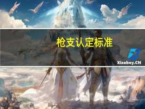 枪支认定标准