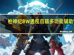 枪神纪BW透视自瞄多功能辅助 V1.0 免费版（枪神纪BW透视自瞄多功能辅助 V1.0 免费版功能简介）