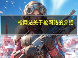 枪网站 关于枪网站的介绍
