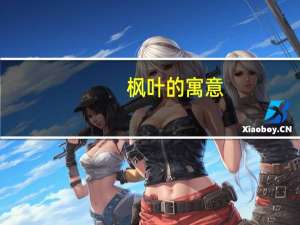 枫叶的寓意