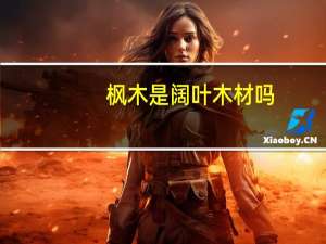 枫木是阔叶木材吗