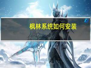 枫林系统如何安装（枫林系统之家）