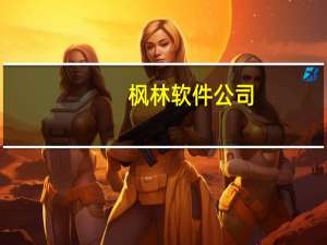 枫林软件公司（枫林系统之家）