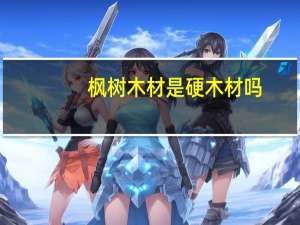 枫树木材是硬木材吗