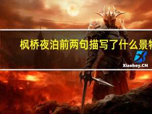 枫桥夜泊前两句描写了什么景物