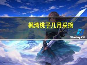 枫湾桃子几月采摘