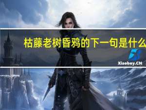 枯藤老树昏鸦的下一句是什么