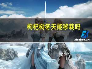 枸杞树冬天能移栽吗