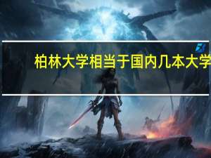 柏林大学相当于国内几本大学