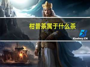 柑普茶属于什么茶