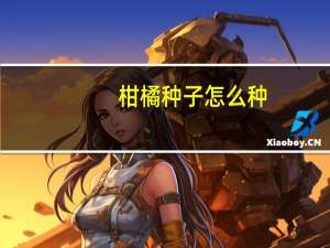 柑橘种子怎么种