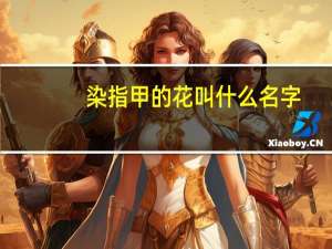 染指甲的花叫什么名字