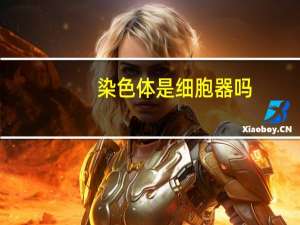染色体是细胞器吗