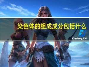 染色体的组成成分包括什么
